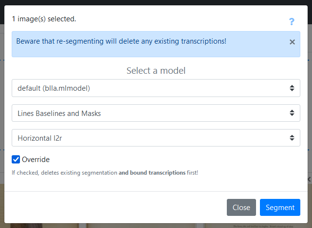 image: screenshot of the segmentation panel showing which options are used for this step, as listed in the instructions above