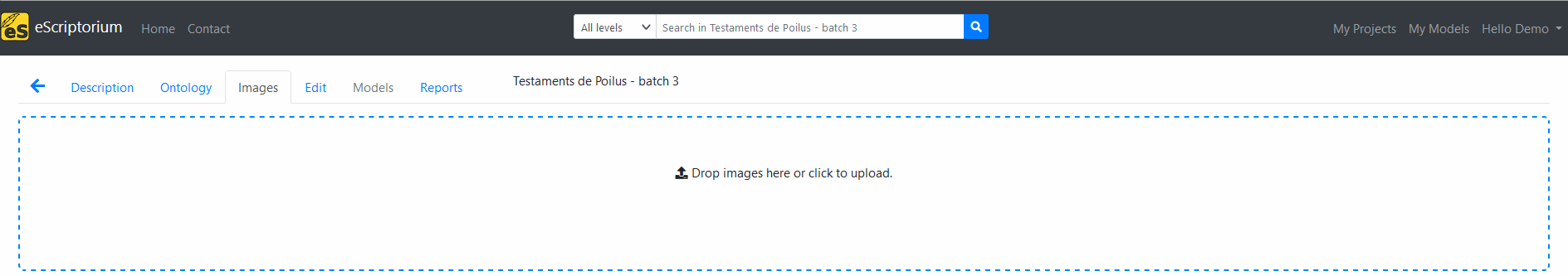 image: Screenshot of the search bar on the projects page